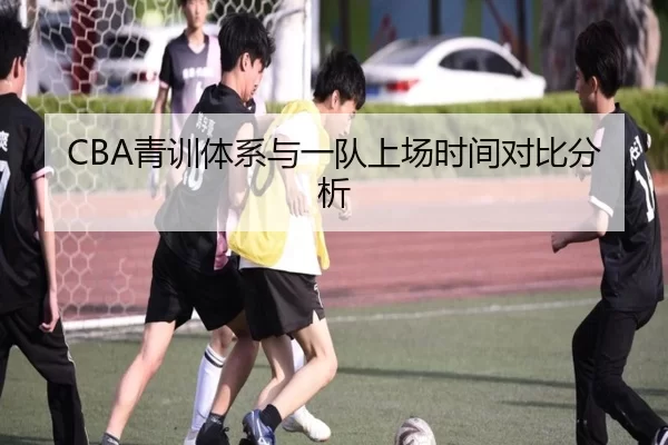 CBA青训体系与一队上场时间对比分析