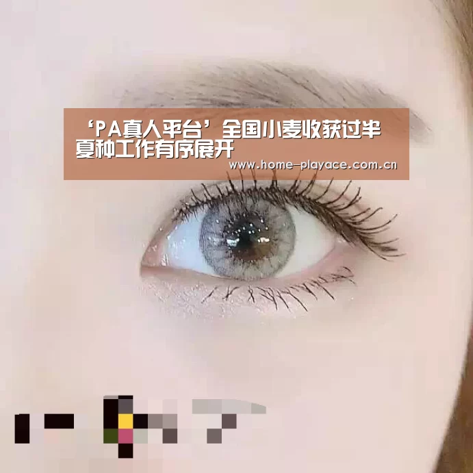 PA真人官网